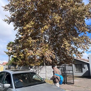 Us vs The Wrld (feat. Idea., Highasa****ingpriest & Lund) (Explicit)