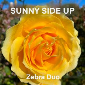 Sunny Side Up (feat. Lady Albatross & Mihai Sorohan)