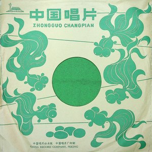 七绝·为女民兵题照