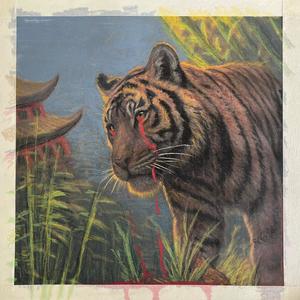 The last Tiger of China (Explicit)