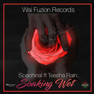Soaking Wet(feat. Teesha Rain)