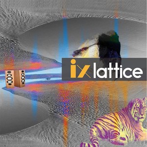 IX Lattice