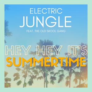 Hey Hey It's Summertime (feat. The Old Skool Gang) (Funk Mix)
