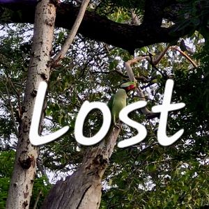 Lost