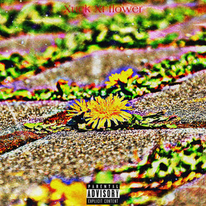 Xuck Xt flower (Explicit)