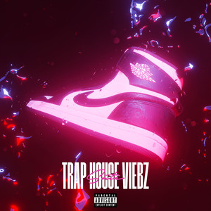 Trap House Vibez (Explicit)