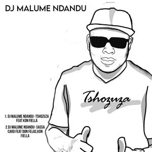 Dj Malume Ndandu - Sassa Card (feat. Dj malume ndandu & Don felas)