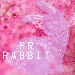Mr Rabbit