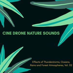 Cine Drone Nature Sounds - Effects of Thunderstorms, Oceans, Rains and Forest Atmospheres, Vol. 02