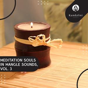 Meditation Souls In Mangle Sounds, Vol. 3