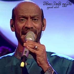 Minisa Wasai Pudumai