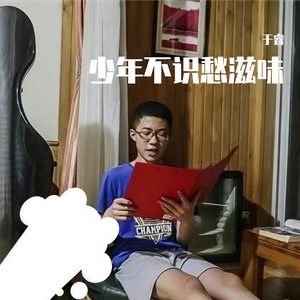新版少年不识愁滋味