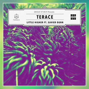 Little Higher feat. Xavier Dunn (Extended Mix)