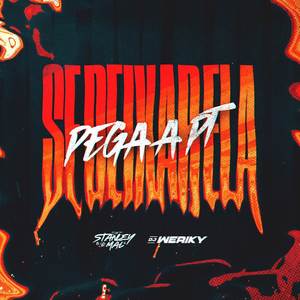 DJ Weriky - Se Deixar Ela Pega a PT (Funk Rj) (Explicit)
