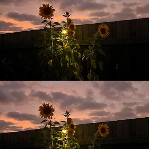 Đợi gió thổi (feat. Swoker)