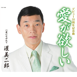 愛が欲しい (シングルバージョン)封面