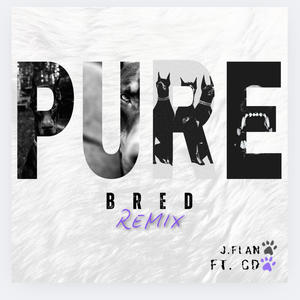 PURE BRED (feat. CD) (Radio Edit)