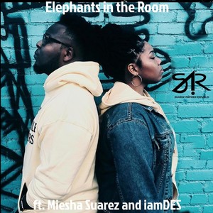 Elephants in the Room (Suarez Family Mix) [feat. Iamdes & Miesha Suarez]