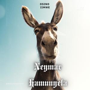 Pandeka (feat. Costa Die Laaste Hond)