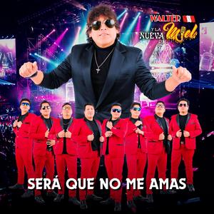 Será Que No Me Amas (Feat. Julio Bejar)