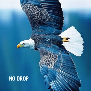 No Drop