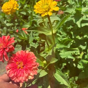 My Right Side (feat. Savoir Frostie & Caligula) (Explicit)