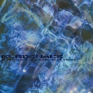 Scintillate in a Dark Blue Light