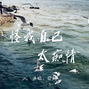 怪我自己太痴情