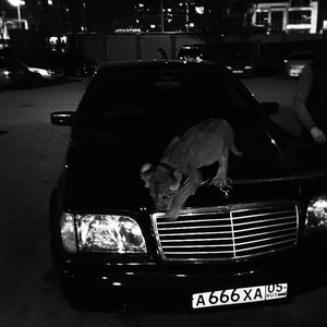 symbol dominacji (Explicit)