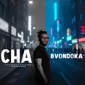 Chabvondoka