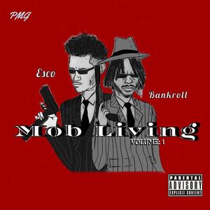 BIPPIN WIT BANKROLL (Explicit)