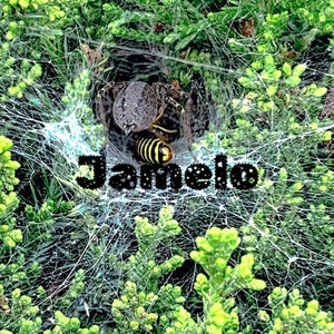 Beat it up (feat. Gelati Ak & Dot) (Explicit)