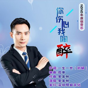 你伤心我陶醉 (DJ版)