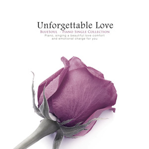 잊을 수 없는 사랑 (An unforgettable love)