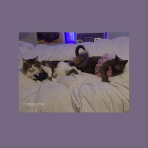 nine lives: slow & reverb (feat. Lovervoid) (Explicit)