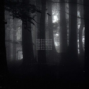 Ich wollt' mich nie verlieben (Explicit)