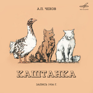 КаштанкаНеудачныйдебют