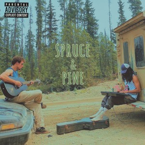 SPRUCE & PINE