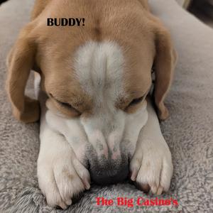 Chill Factor (feat. Bridget)