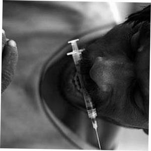 ŽERU HROZNY (feat. PROPAN) (DRUG ADDICTS REMIX|Explicit)