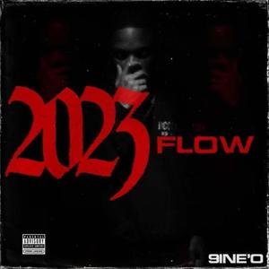 2023 FLOW (Explicit)