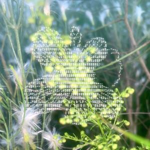 Fruit of Life (feat. yves aoi, jian & Chris Wallace)