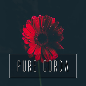 크리스마스 고백