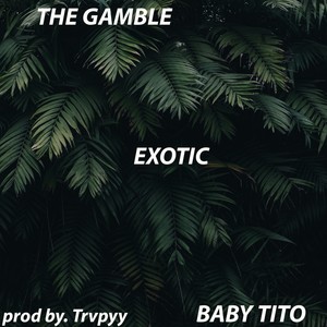 Exotic (Explicit)