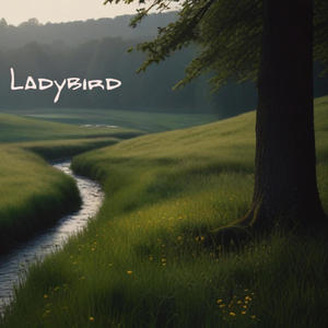 Ladybird (feat. Saxsha)