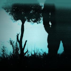 Through the Trees (feat. Lil Woodie Wood) (Explicit)