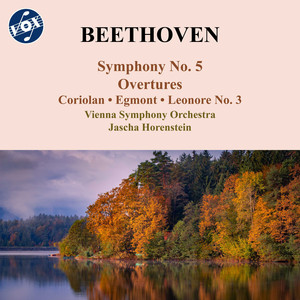 Symphony No. 5 in C Minor, Op. 67 - IV. Allegro
