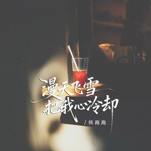 漫天飞雪把我心冷却 (男女对唱版)封面