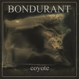 Coyote (Explicit)