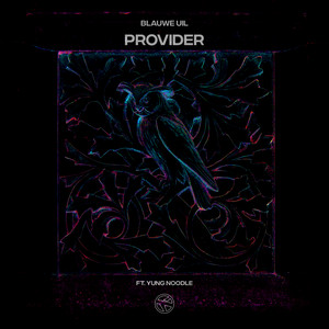 Provider (Explicit)